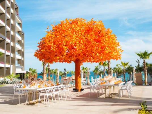 Orange Tree Groups and Events Garza Blanca Los Cabos