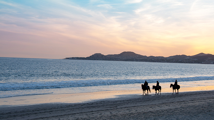 Cabo San Lucas, Baja California Sur