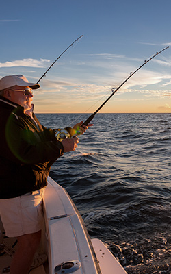 Sport Fishing in Los Cabos